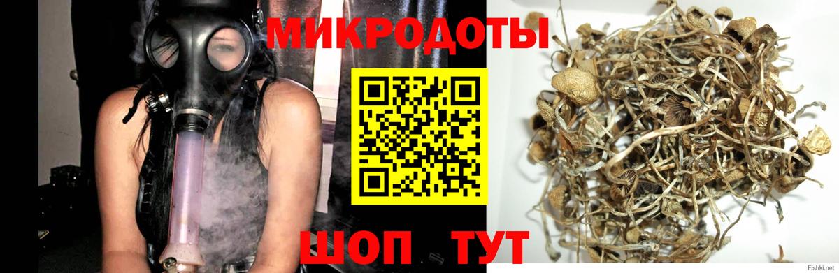Галлюциногенные грибы Cubensis  Вход с VPN  где продают   Галлюциногенные грибы ЛСД  Минусинск 